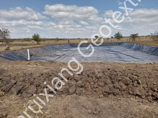 0,5 mm 0,75 mm 1,0 mm 1,5 mm HDPE LLDPE Membrana de lámina de revestimiento Gse Geomembrana de HDPE texturizada para vertederos y lagunas mineras